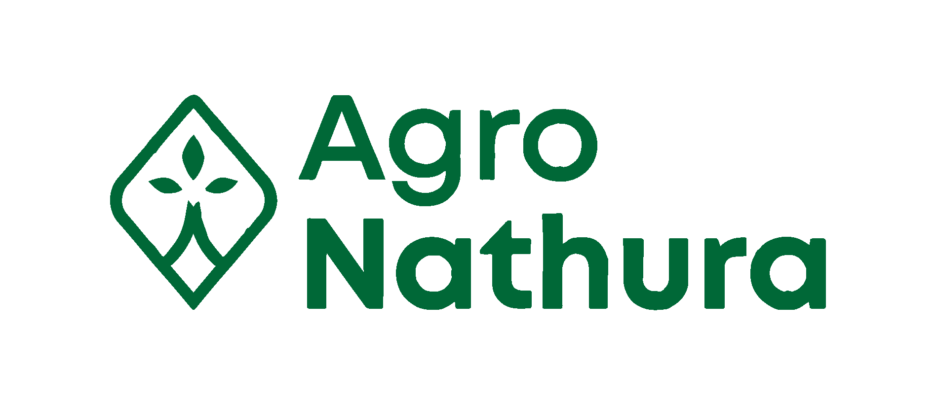 Bonos Corporativos Agro Nathura SAE Puente Paraguay
